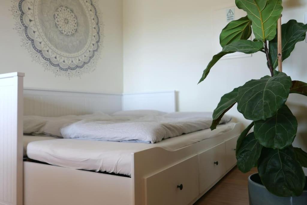 Panorama Apartment Sagres *Pool* 外观 照片