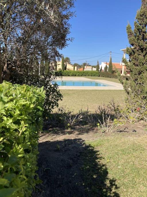 Panorama Apartment Sagres *Pool* 外观 照片